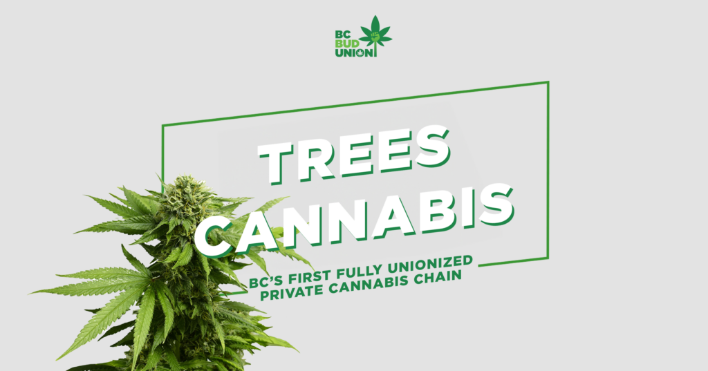 Trees Cannabis. BC’S FIRST FULLY UNIONIZED PRIVATE CANNABIS CHAIN.